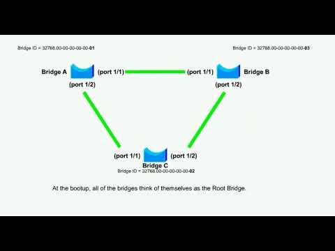 SPANNING TREE PROTOCOL (Basics) for Noobs!