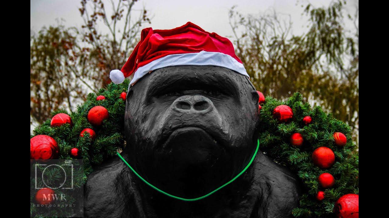 Picher Oklahoma 2023 Coming Home For Christmas Parade YouTube