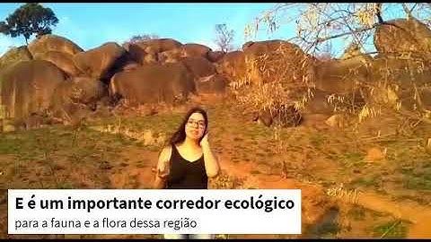 Dispositivo para alerta de queimadas na Serra do Itapetinga