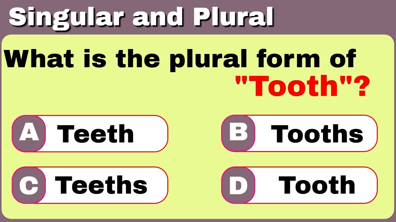 Singular and Plural Quiz 2 How Well is Your English? Test With This