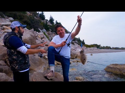 Ona Zoka Hareketini