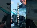 無職の釣り人、ロックショアで奇跡を起こす #釣り#fishing #ショアジギング #ロックショアジギング