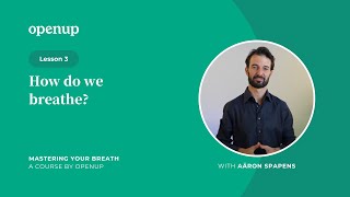 Mastering your breath (3) | How do we breathe?