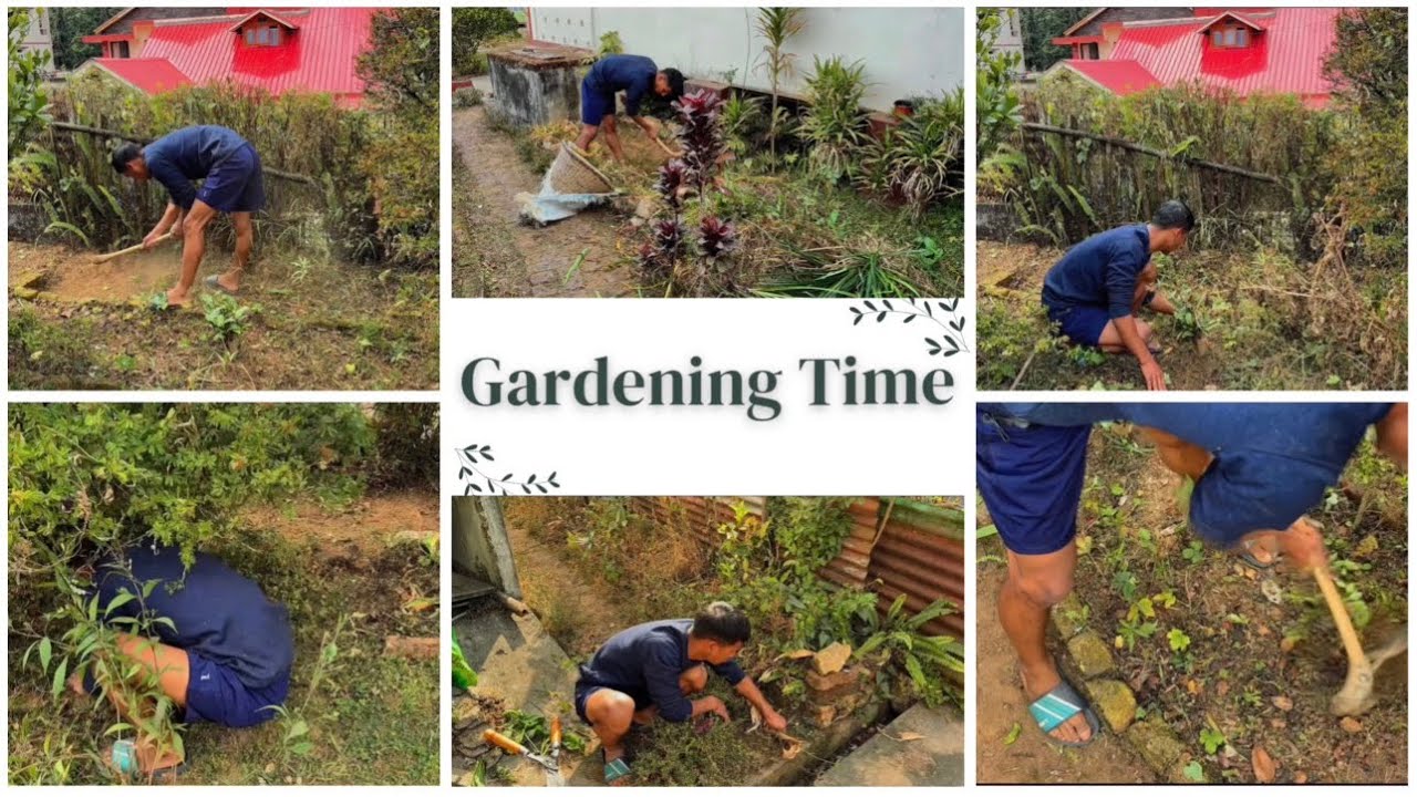 TRAVEL WITH BOLTI: PART-1, GARDENING TIME! #gardening #cleaning #freetime 