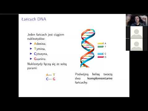 Paweł Rzążewski -