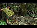 Surprise: Fish Trap Techniques Using Ancient Methods- A lucky Day/ Bushcraft & Survival Part 6