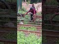 Shunting without safety #train #shunting #shorts