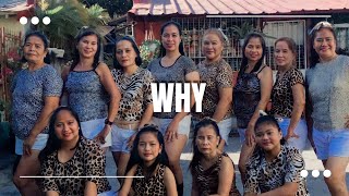 WHY - Tiggy | Dj Rowel Remix | Zumba  DanceFitness | Power Pop Dancers