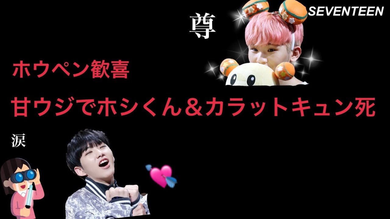 ホシウジペンなら知ってる 伝説の ホシやポゴシポ 事件の全貌 Seventeen 日本語字幕 文字起こし セブチ Youtube