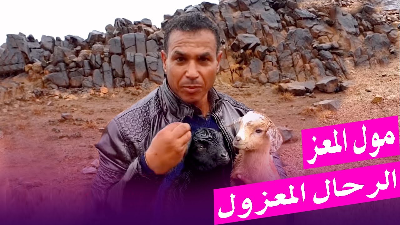 معاناة انسان الجبل تحت الأمطار الغزيرة ( سكورة اقليم وارزازات ) المغرب