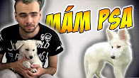 MÁM NOVÉHO PSA ● Pet QnA ║ Matúš