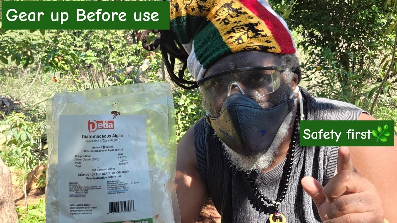 Основы безопасности в саду: правильная защита при использовании инсектицидов