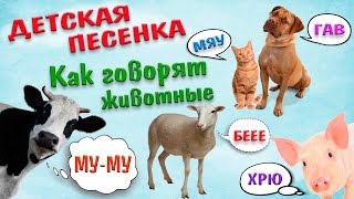 Веселая песенка для самых маленьких! Как говорят животные/Funny song for kids! How animals talk! Веселая песенка для самых маленьких! Как говорят животные/Funny song for kids! How animals talk!
