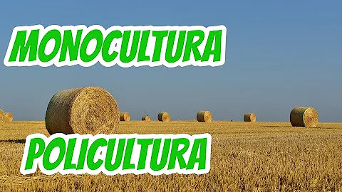 O que é prática de policultura?
