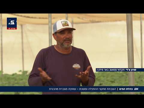 Water crisis continues: Increased pumping from the Sea of Galilee following desalination plant sh...