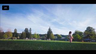 Relaxing Afternoon Ambience | 4K 60fps Park Soundscape