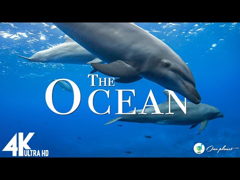 The Ocean Relaxing Music Along With Beautiful Nature