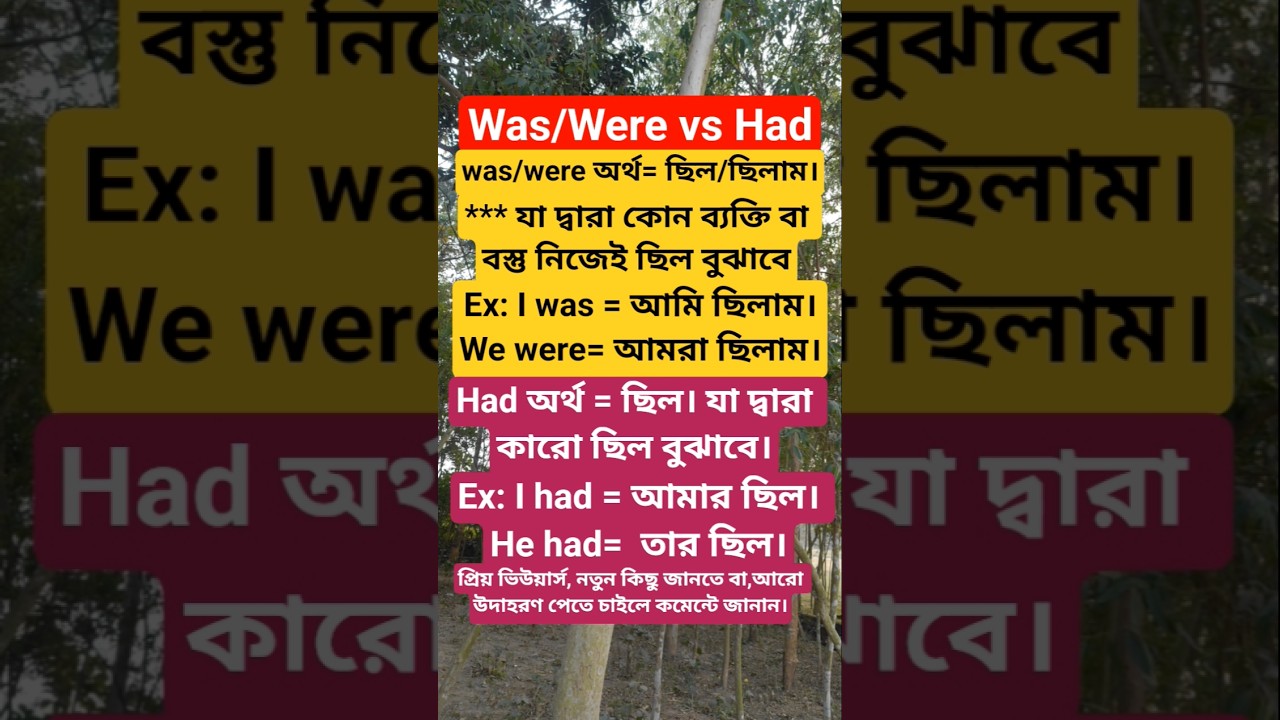 Was/Were vs had | মাত্র 1 মিনিটে পার্থক্য জেনে নিন | অনেকেই জানেনা |