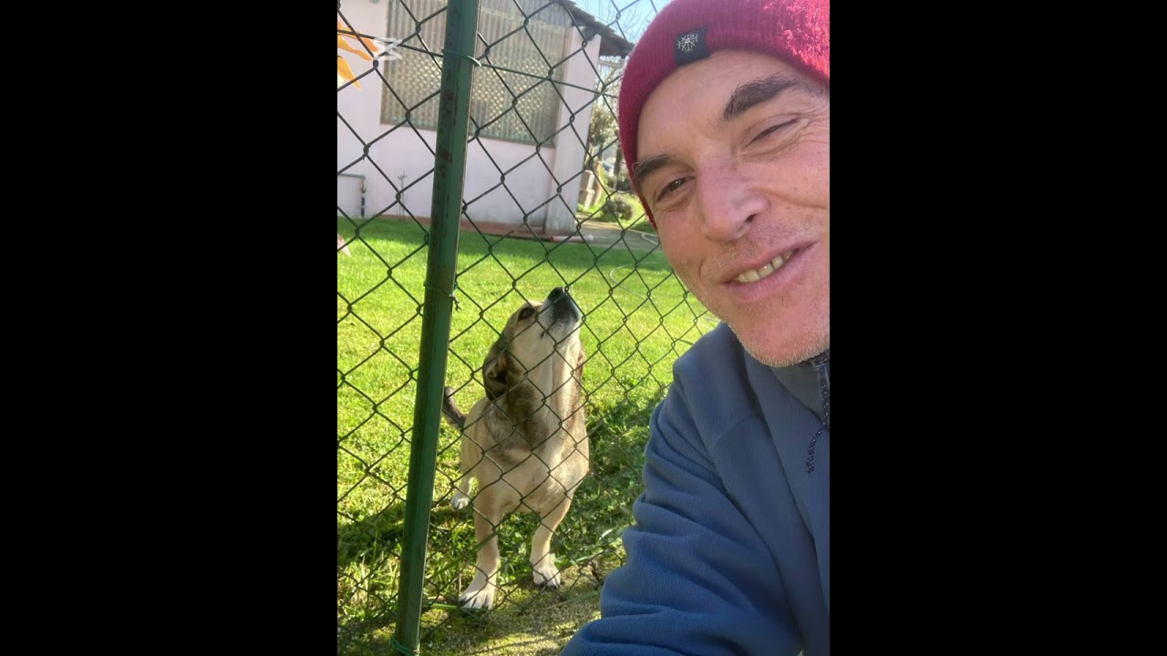 MARCO VALERI QUARTET Feat DANIELE TITTARELLI  -  BORGHETTI VARIATIONS - Rome Jan 2026