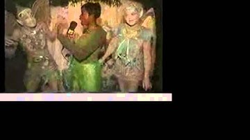 The Ice Fairies - Walkabout Characters