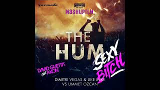 Dimitri Vegas & Like Mike vs David Guetta - The Hum vs Sexy Bitch (AMF Festival 2018)