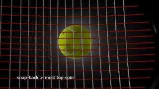 L-Tec : the spin-effects