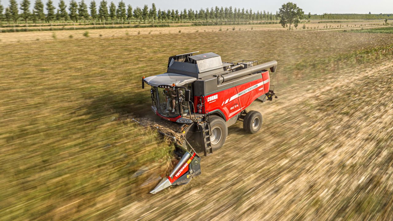 Bomboniere Iniziale Ricamata E Portachiavi Della Fortuna - Il Filo - Foto 6