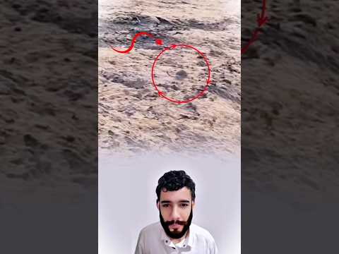 السقوط أرهقه فتركها لينجو بنفسه 