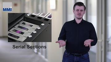 MMI Tutorials - CellCut - Episode 10 - Serial Section