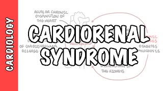 Cardiorenal Syndrome - classification, mechanism, pathophysiology, treatment
