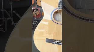 VIOLÃO GIANNINI NYLON GNF-1D CEQ NG