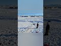 کمی برف بازی تو گرمای تابستون می چسبه کمی برف بازی تو گرمای تابستون می چسبه