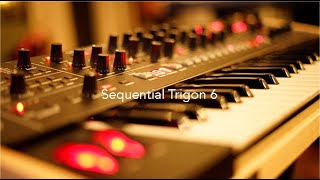 Sequential Trigon 6...... A Beautiful Instrument