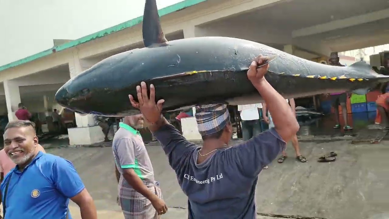 🐬🐟  தேங்காபட்டணம்  துறைமுகம் மீன்களின் விலை,மீன் விற்பனை நேரடி காட்சி 09 March 2026 #fish