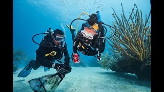 10 Years of Dive Against Debris
