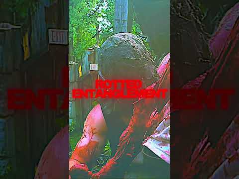 SANGUISUGABOGG | ROTTED ENTANGLEMENT | OUT NOW #shorts #sanguisugabogg