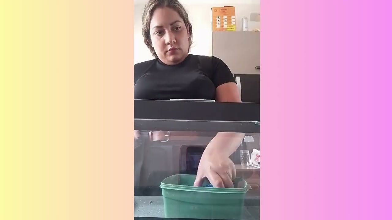 Mini Vlog - Nosso novo Pet