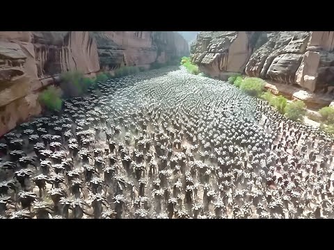 Un dron hace