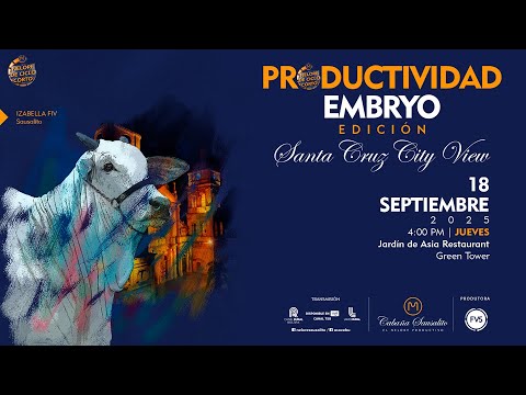 LOTE 16