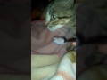 دانون ماشي غير لولاد لصغار ههه