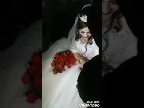 شولي رماك يا ورد معقولي في بترمي حالها هيك تنتحر افضل