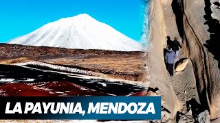 LA PAYUNIA: Un tesoro escondido en Mendoza, Argentina