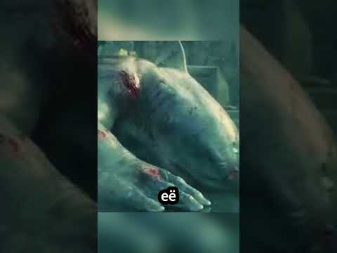 Милая акула попала в ловушку!🦈