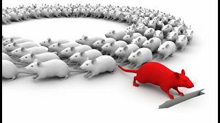 Famous “How to Escape the Rat Race in 2026 (The Math Behind Financial Freedom)” Net Worth