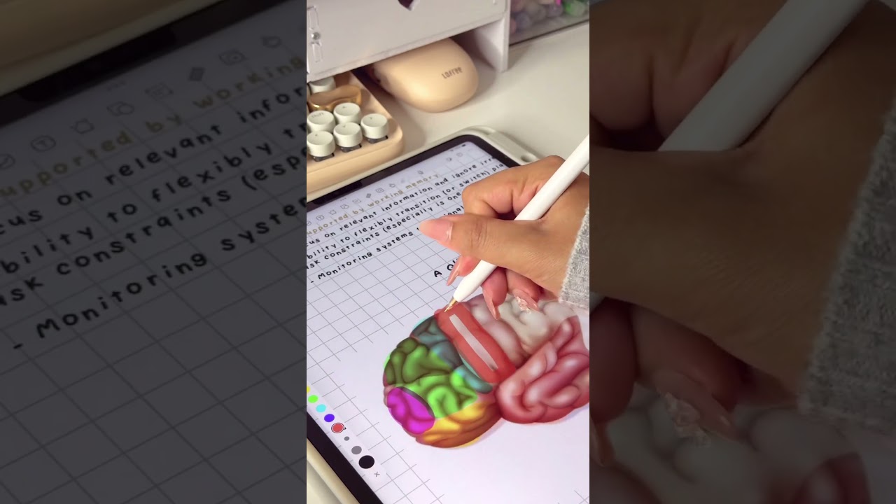 ✨🌷🤍 take aesthetic notes with me! 