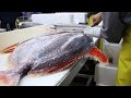 Fish Filleting- Opah