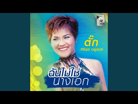 ลูกทุ่งดังสุดฮิต (Part 1/5) | ต่าย อรทัย, มนต์แคน, พุ่มพวง | เพลงใหม่ล่าสุด