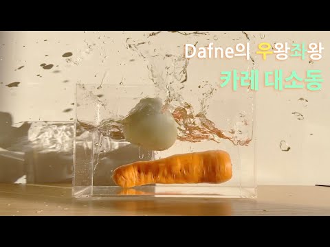 Dafneのなんやかんやカレー作り?  フランベ ? Curry MV