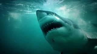 Prime Tv New Zealand - October Image Promo 2018