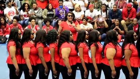 TSU "NIP" for Delta Sigma Theta Sorority